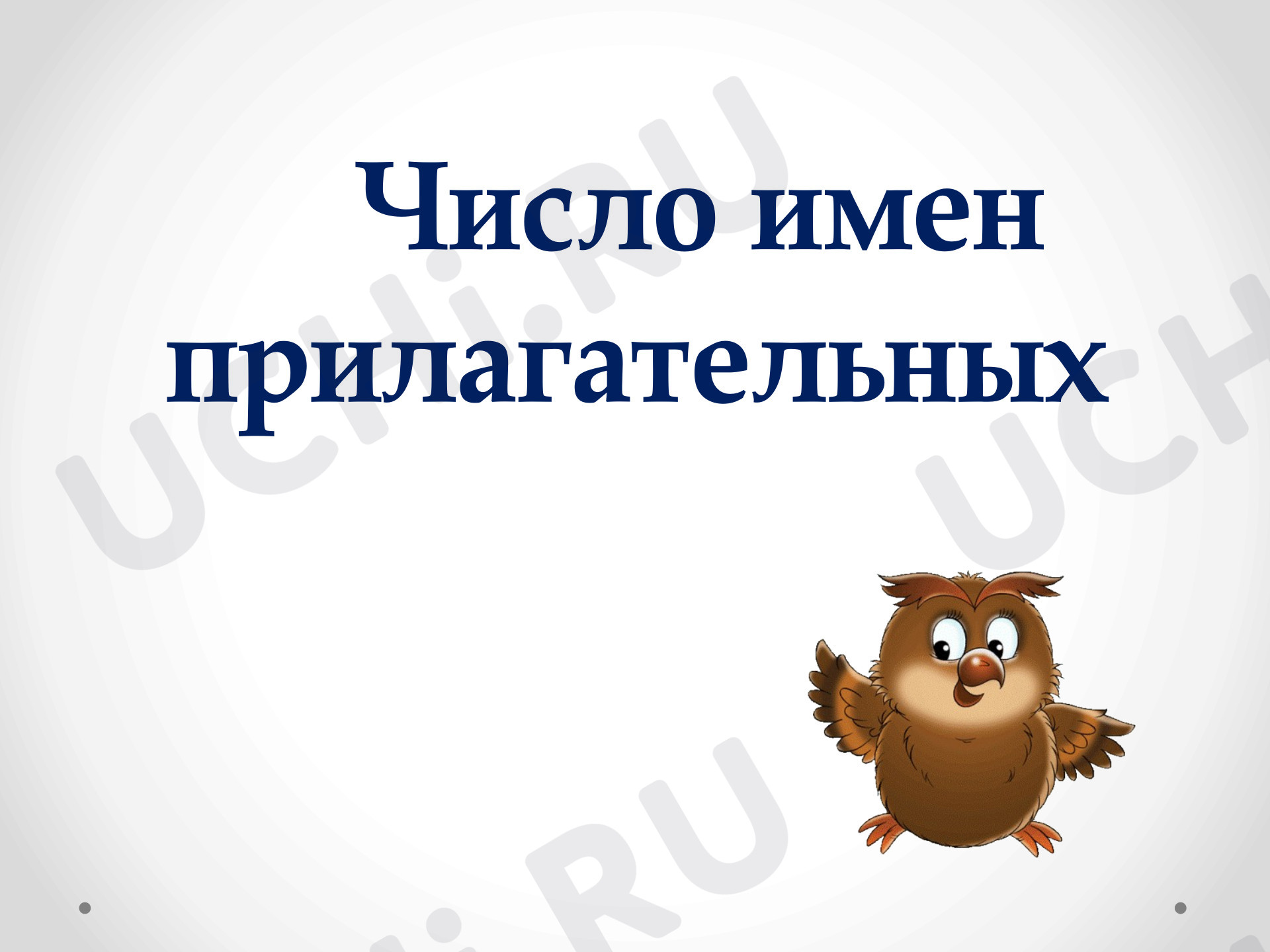 Предпросмотр материала Презентация к уроку русского языка. Число имён прилагательных.