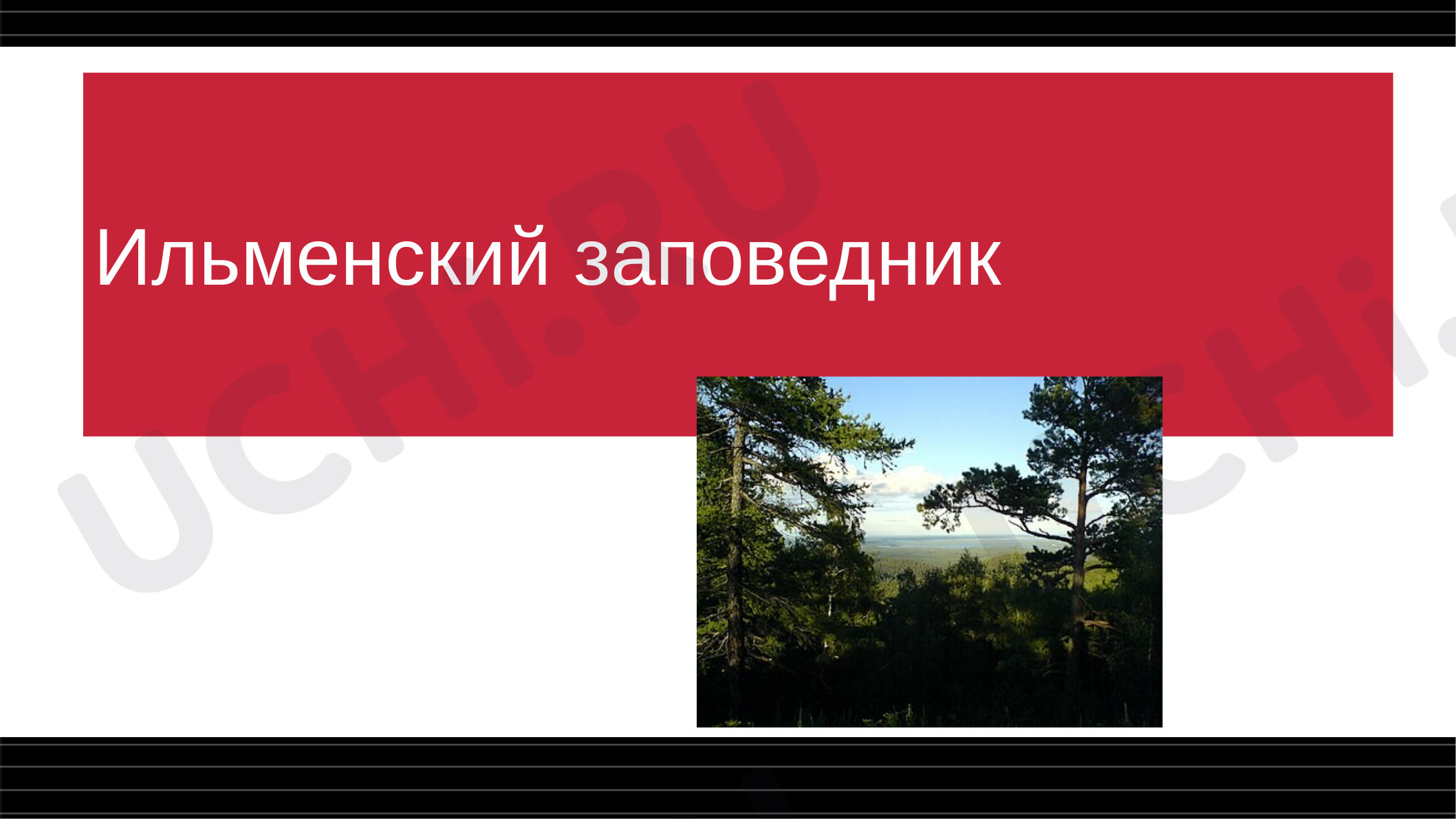 Предпросмотр материала Ильменский заповедник