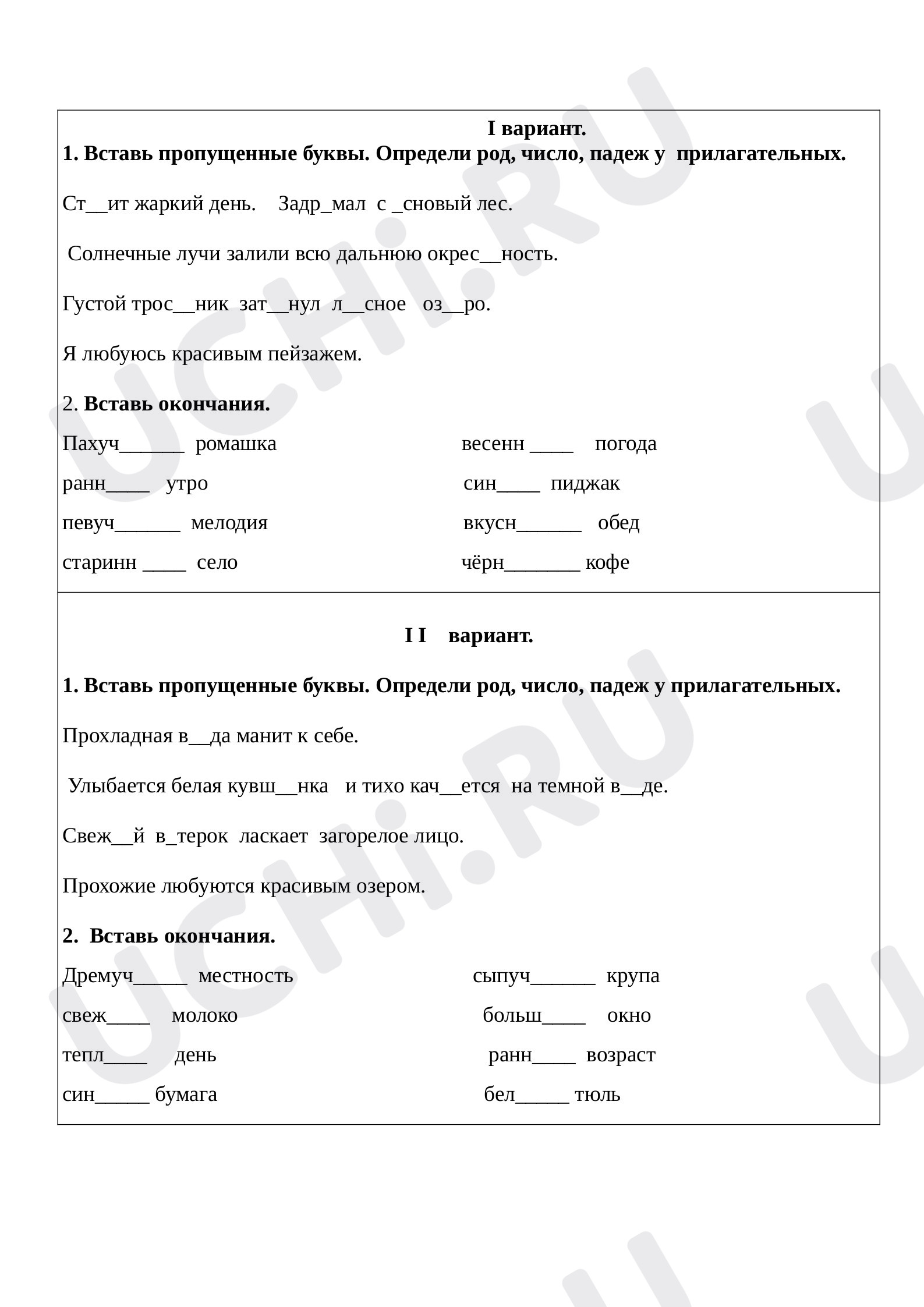 Предпросмотр материала Самостоятельная работа по теме "Имя прилагательное"