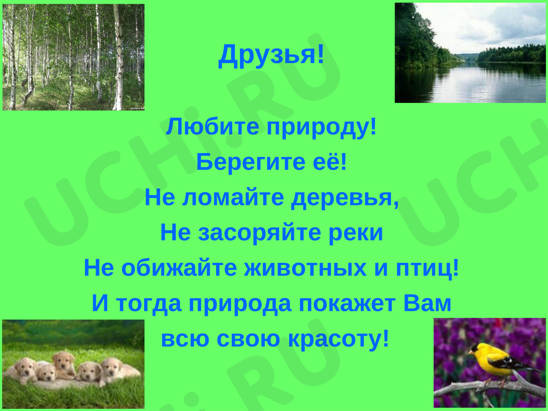 Ответы к рабочим листам по теме «Объекты живой природы. Сравнение объектов  неживой и живой природы: выделение различий»: Объекты живой природы.  Сравнение объектов неживой и живой природы: выделение различий | Учи.ру