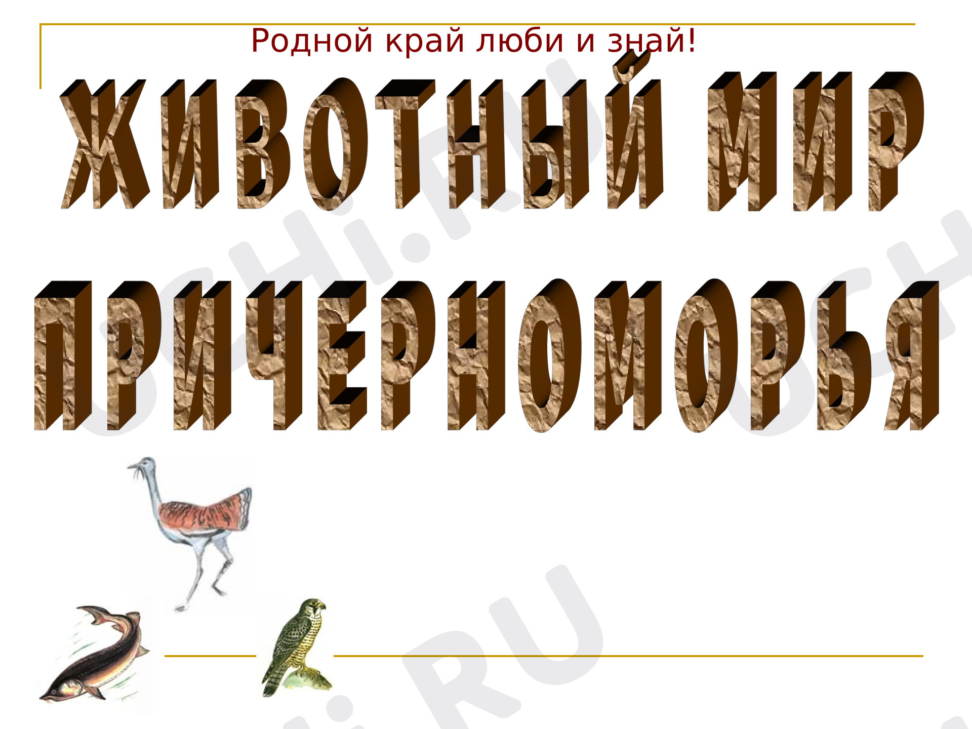 Предпросмотр материала Презентация к уроку по теме: Животный мир Сочинского причерноморья