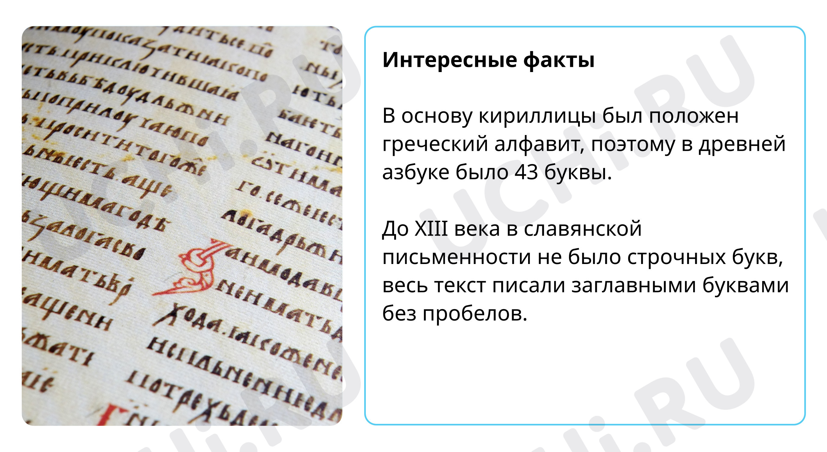 Предпросмотр материала Интересные факты