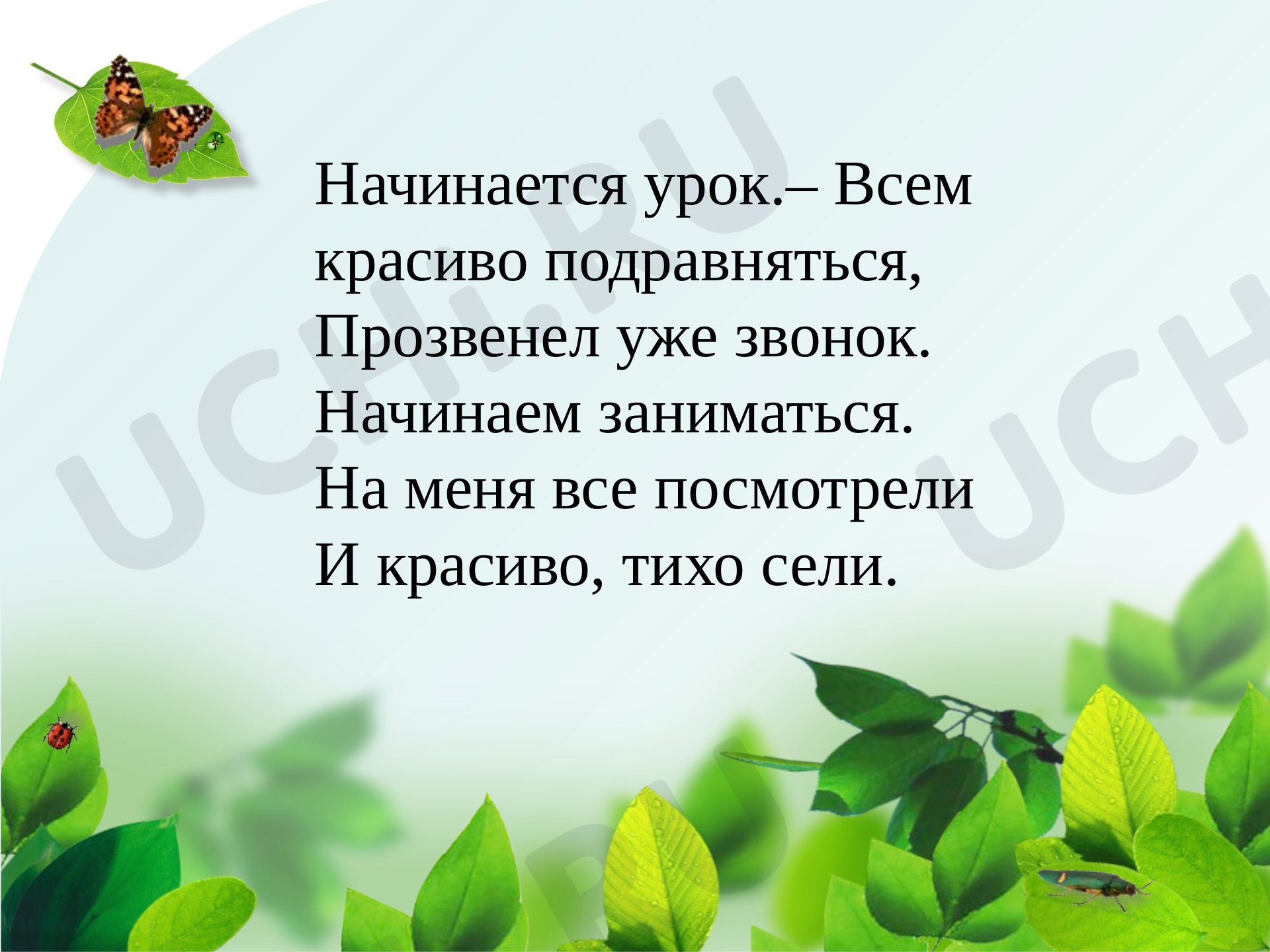 Предпросмотр материала Обобщение знаний о написании окончаний имен существительных и имен прилагательных