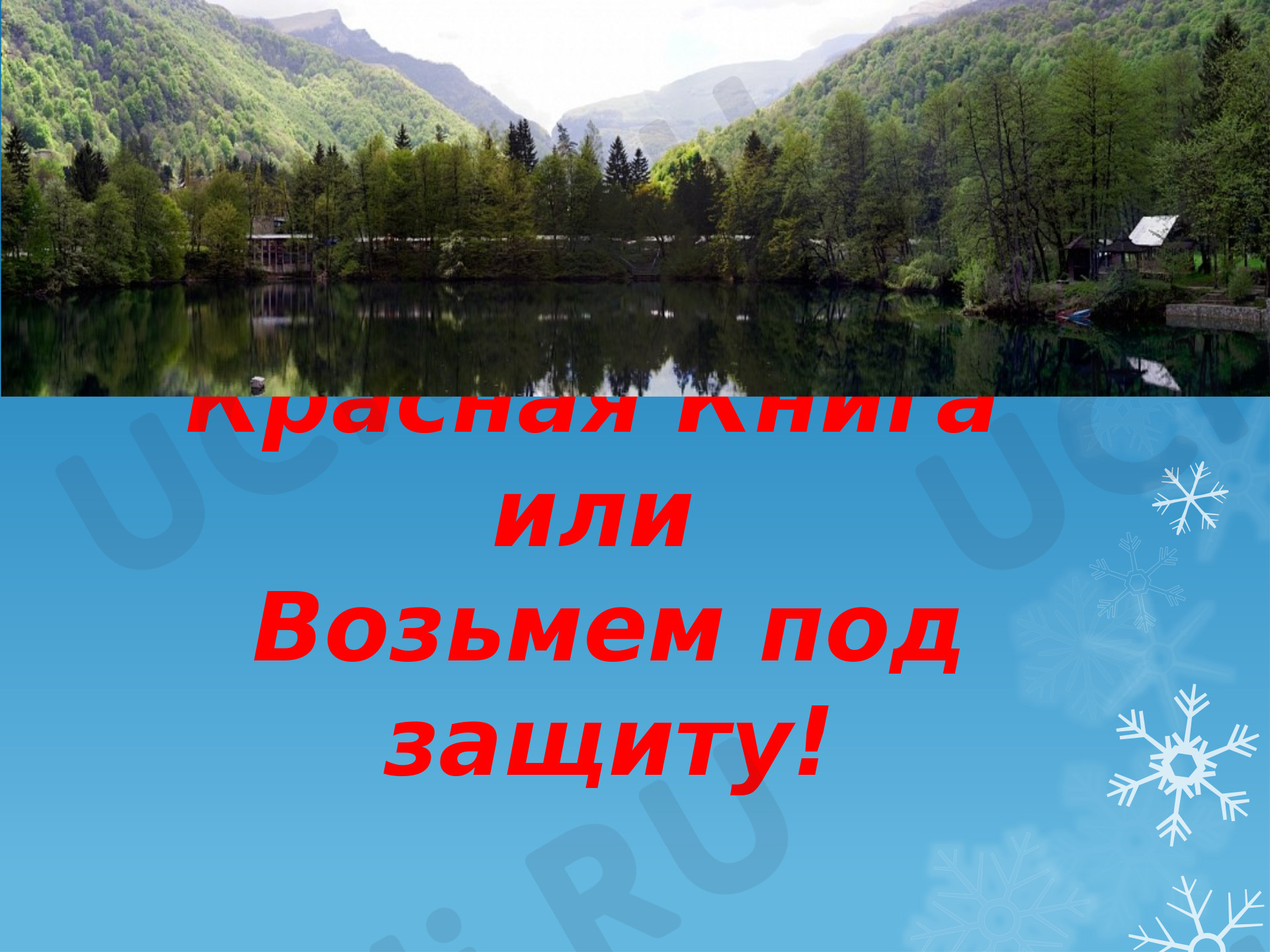 Предпросмотр материала Презентация к уроку окружающего мира по теме: "Красная книга, родной край"