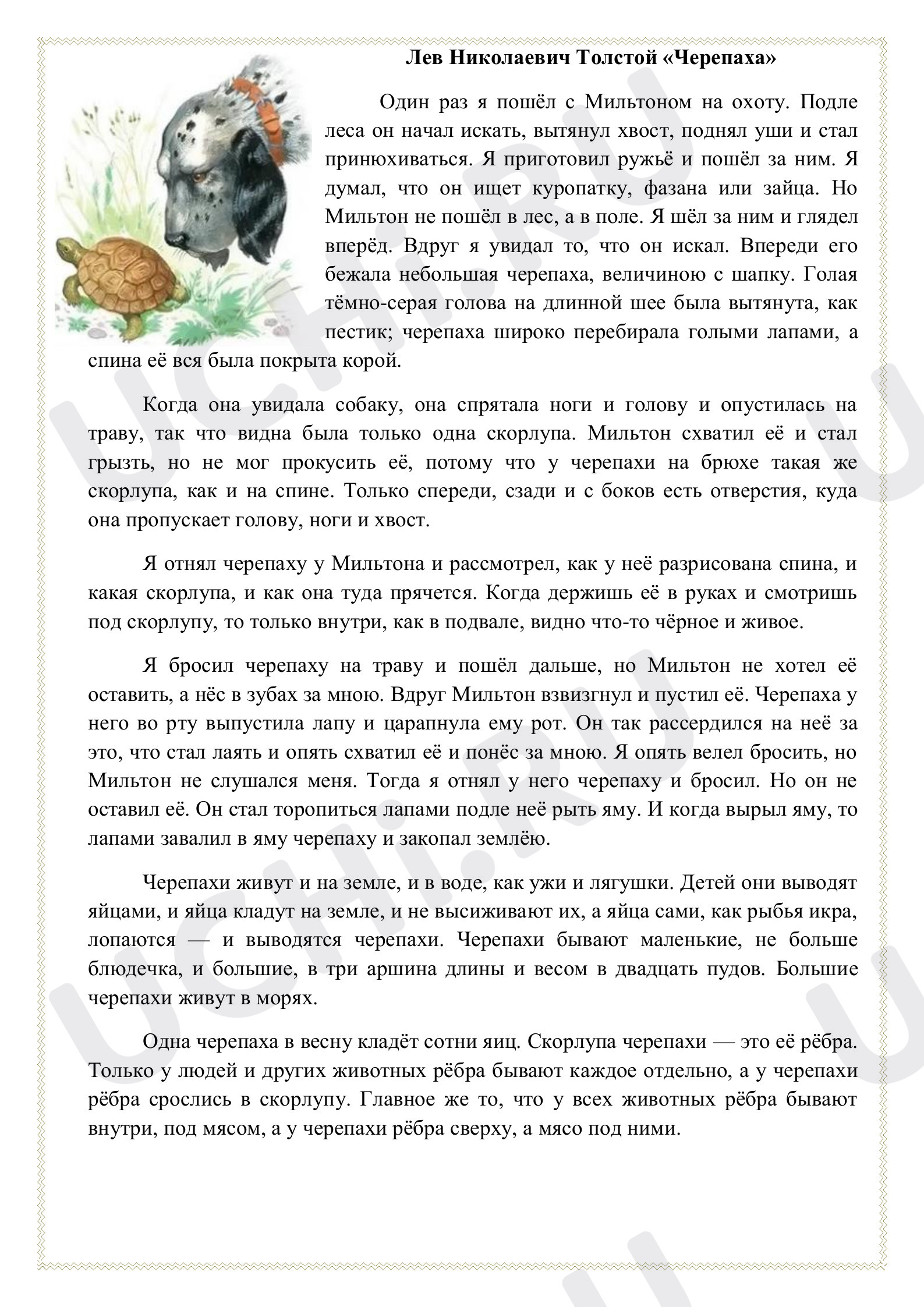 Предпросмотр материала Рабочий лист к уроку литературного чтения по теме: Л. Н. Толстой "Черепаха"