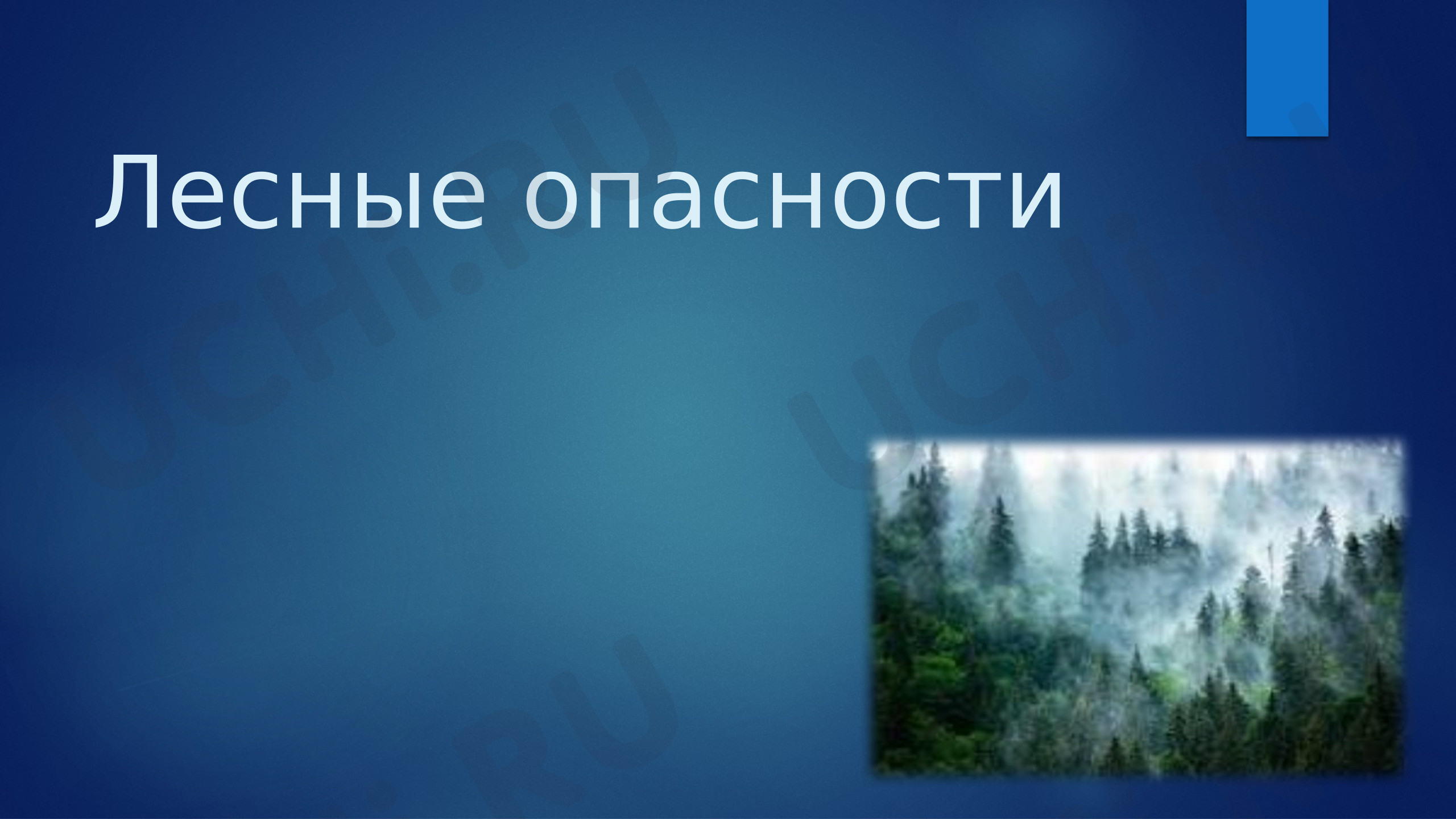Предпросмотр материала Презентация к уроку окружающего мира «Лесные опасности»